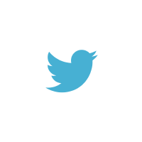 «Twitter - Follow Us» App for Easystore